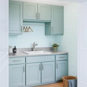 Coupon 🎉 PROFLO® Hallinan Single Handle Pull Out Kitchen Faucet with Two-Function Spray in Brushed Nickel 👏 4 Coupon 🎉 PROFLO® Hallinan Single Handle Pull Out Kitchen Faucet with Two-Function Spray in Brushed Nickel 👏 - Image 4