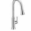 Outlet 🔥 PROFLO® Hopkins Single Handle Pull Out Kitchen Faucet in Polished Chrome ✨
