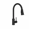 Budget ✔️ PROFLO® Orvis Single Handle Pull Down Kitchen Faucet with Three-Function Spray in Matte Black 🔥