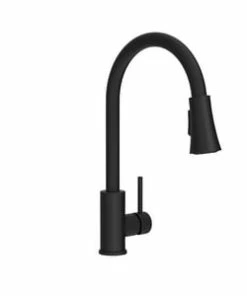 Budget ✔️ PROFLO® Orvis Single Handle Pull Down Kitchen Faucet with Three-Function Spray in Matte Black 🔥