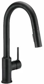 Cheapest ✨ PROFLO® Loftus Series Kitchen Faucet in Matte Black 👏